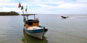 Pesca na foz do Rio Doce volta a ser liberada depois de dez anos